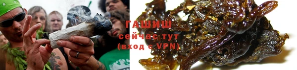 винт Ельня