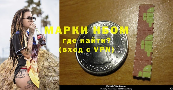 винт Ельня