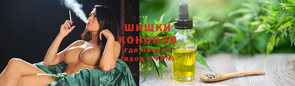 винт Ельня