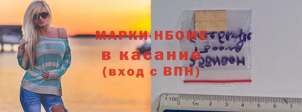 винт Ельня