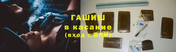винт Ельня