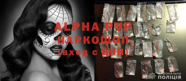 винт Ельня