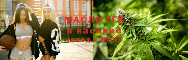 винт Ельня