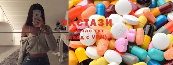 винт Ельня
