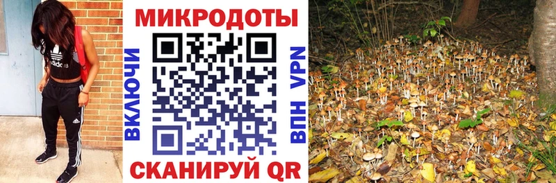 Галлюциногенные грибы мухоморы  Купить закладки  Прокопьевск 